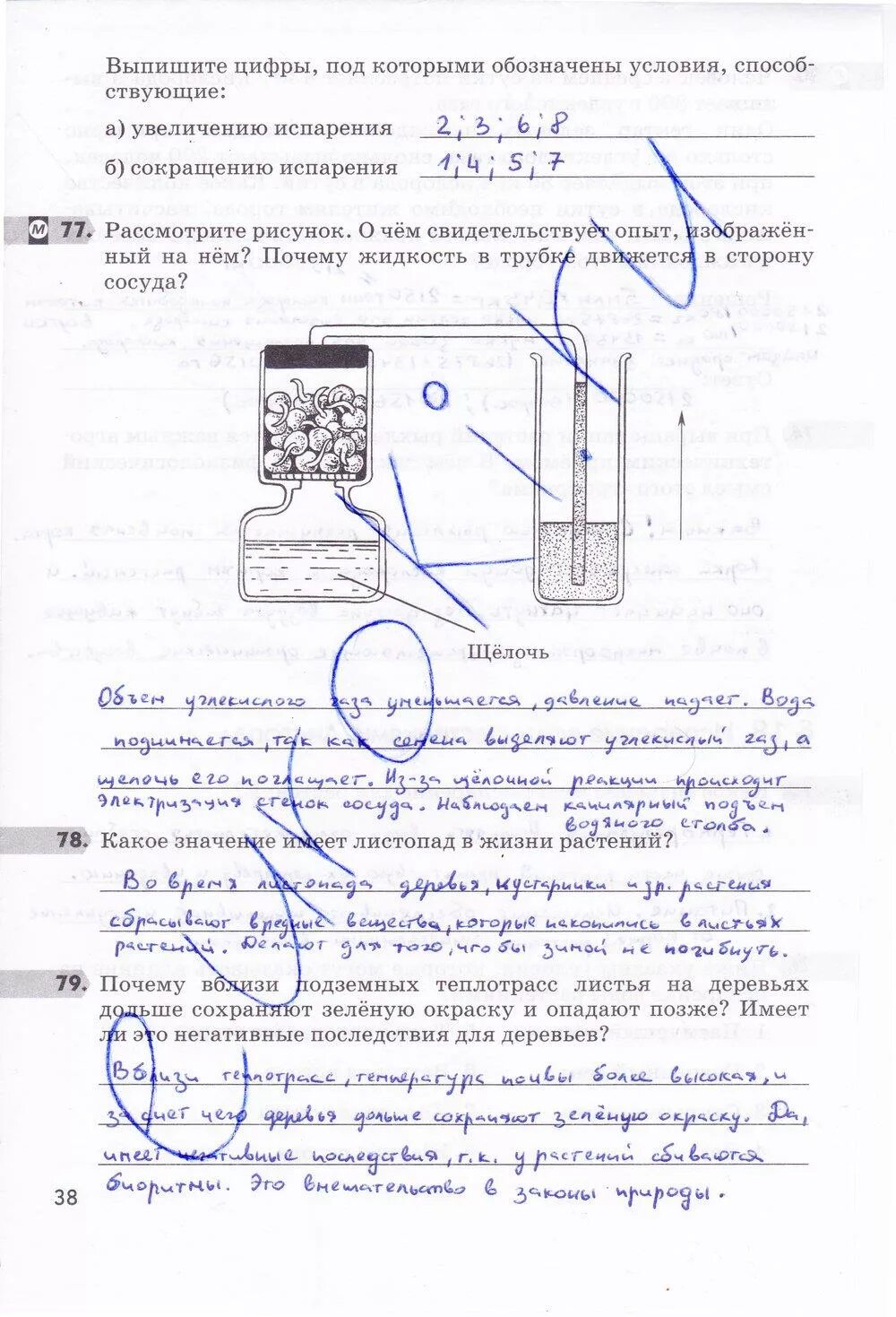 Об опыте изображенном на рисунке 148. Гдз биология 6 класс рабочая тетрадь Пасечник. Биология 6 класс рабочая тетрадь Пасечник номер 38. Рассмотрите рисунок о чем свидетельствует опыт изображенный. Гдз биология рабочая тетрадь 6 класс страница 38.