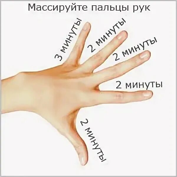 Развитие пальцев как называется. Название пальцев. пальцы на руках название. название пальцев на руке человека. ладонь название пальцев.