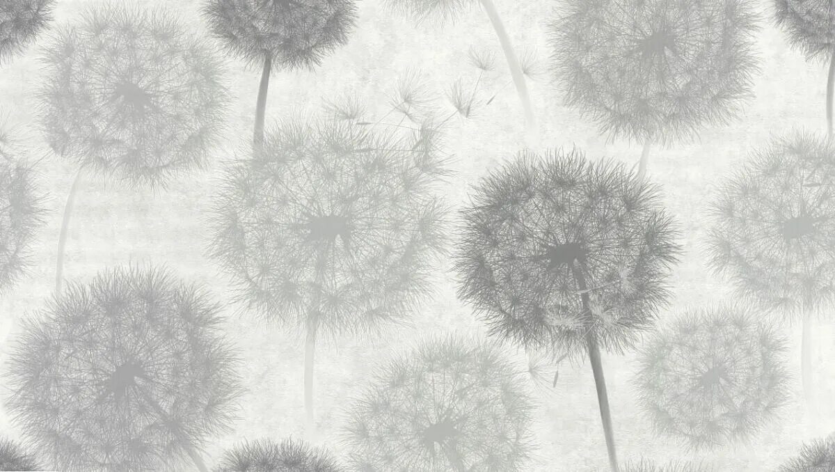 Обои 70436-44. Обои аспект одуванчики. Одуванчик макросъемка. Одуванчики на стене. Светло-серые обои с одуванчиками.