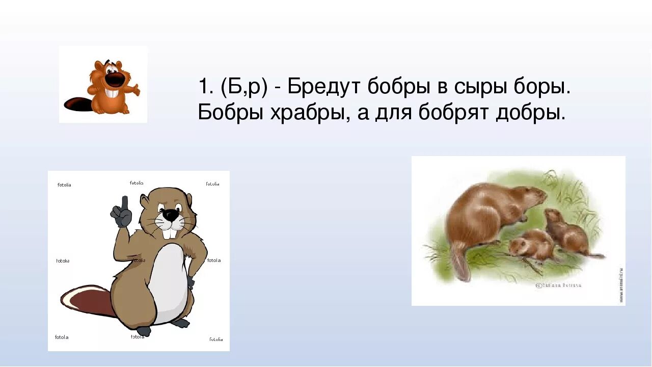 Бобров е б. Скороговорка про Бобров. Загадки о бобрах для детей. Бобр загадка для детей. Загадка о бобрах.