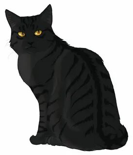 Частокол коты