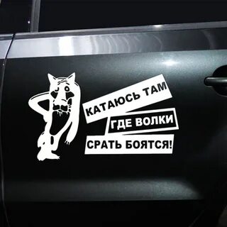 Песня где волки
