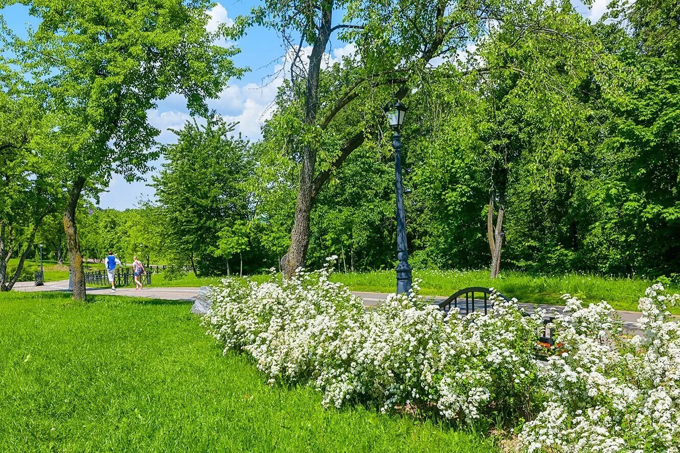 Парки в минске. Лошицкий парк. лошицкий парк каплица. лошица парк в минске. лошицкому парку минск.