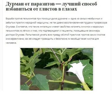 Как фармить дурман камень