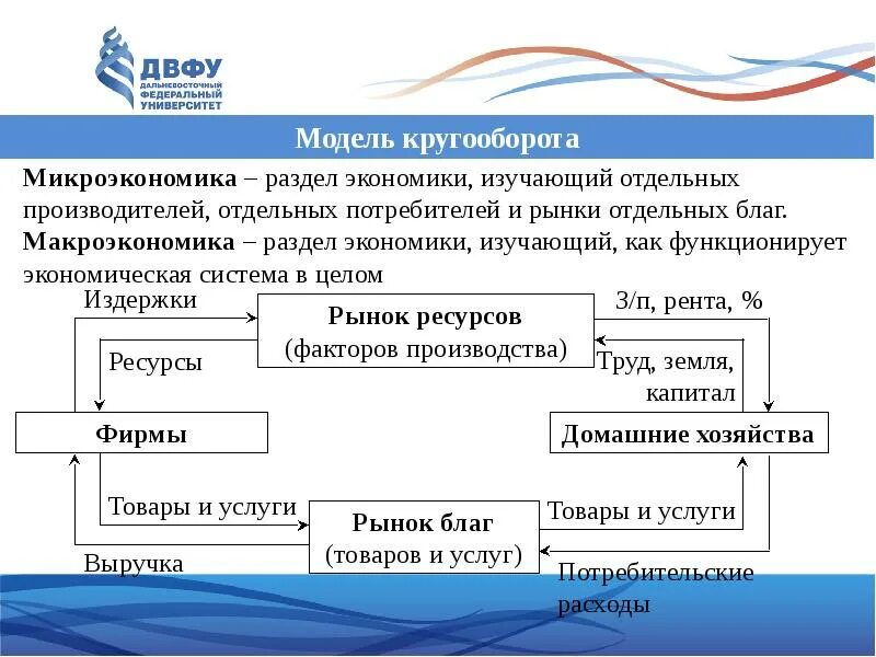 Микроэкономика изучает численность занятых