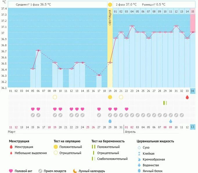 32 День цикла. График по суткам. БТ график бе. Овуляция хочется. Отслеживание овуляции