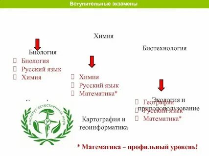 Профиль математика и общество куда