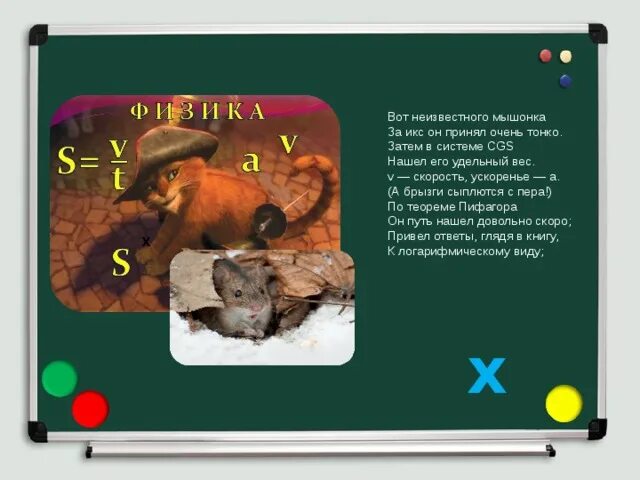 Найди длину пути ученого кота ответ