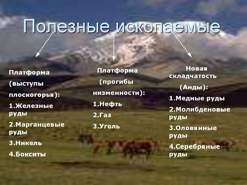 Тест рельеф полезные ископаемые. Полезных ископаемых южной америки. полезные ископаемые южной америки. полезные ископаемые анд. полезные ископаемые платформ.