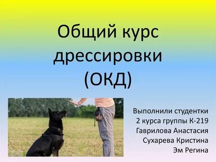 Курс обучения собак