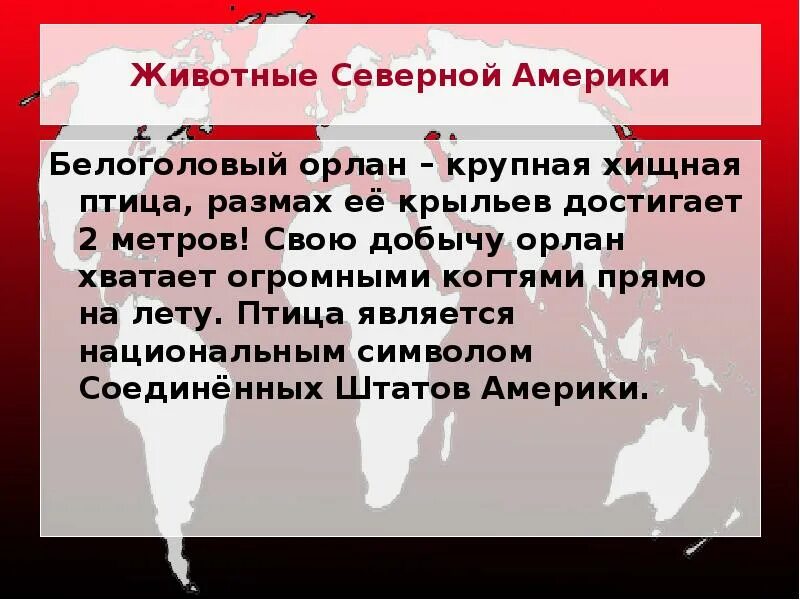 Сообщение о животном Северной Америки. Доклад о животных Северной Америки. Животные Северной Америки презентация. Животное Северной Америки сообщение 7 класс.