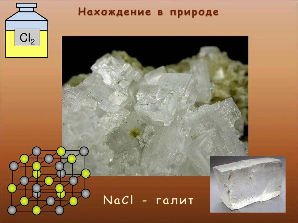 Фтор в природе встречается в виде. Нахождение галогенов в природе. распространение галогенов в природе. нахождение в природе хлора. хлор нахождение в природе.