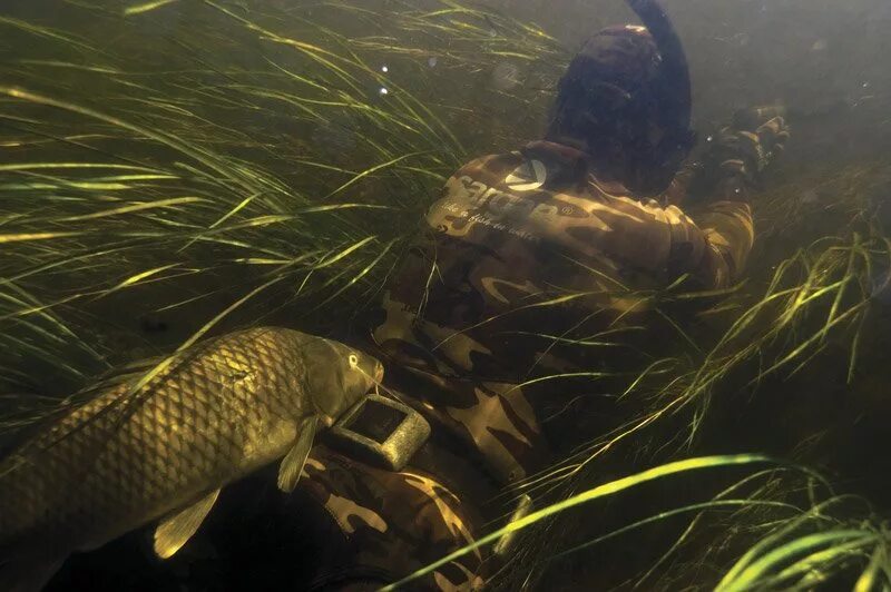 Подводная рыбалка. Подводная рыбалка. Щука в реке. Подводная охота на реке. Подводная охота в реке.