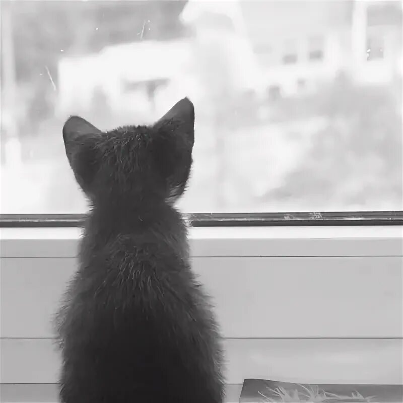 Не обязательно ждать. Кто ждет обязательно дождется. жду тебя. очень жду. ждет.
