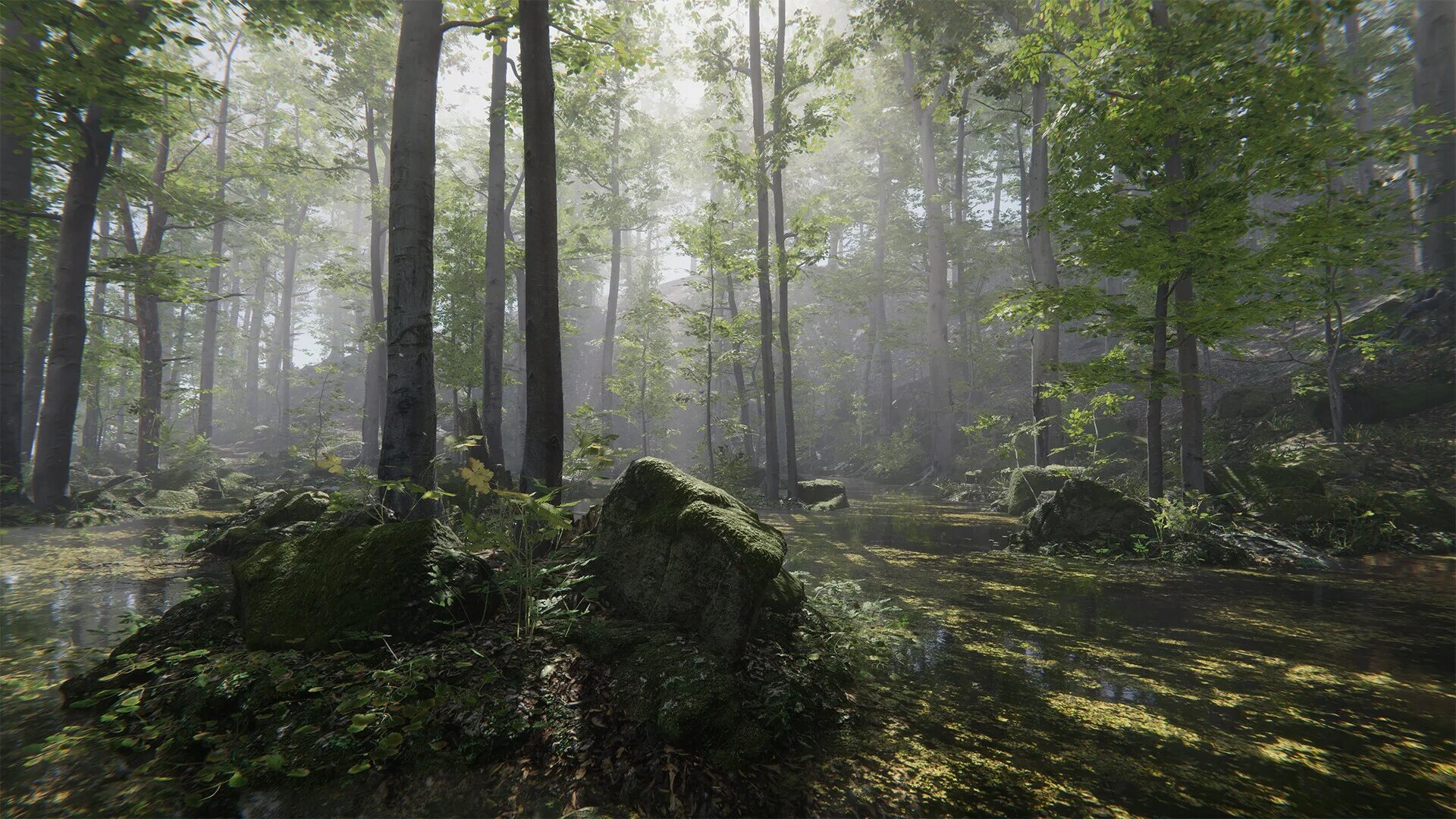 Dynamic forest. Юнити лес. forest природа. ди «в лесу». лес на заднем плане.