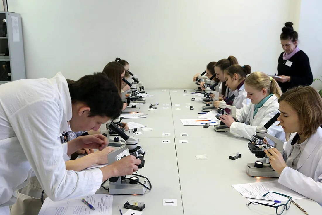 алексей дейкин, ниу белгу. проверка белгу. институт ниу белгу. белгу конференц-зал. типография белгу.