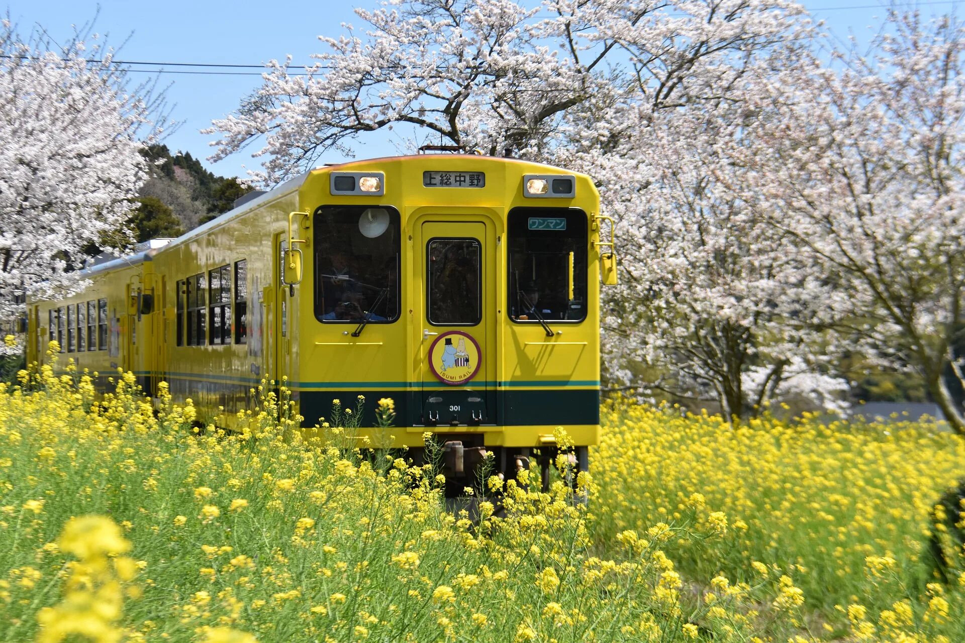 Yellow spring road япония. Желтый поезд. Японские поезда. Поезда в Японии.