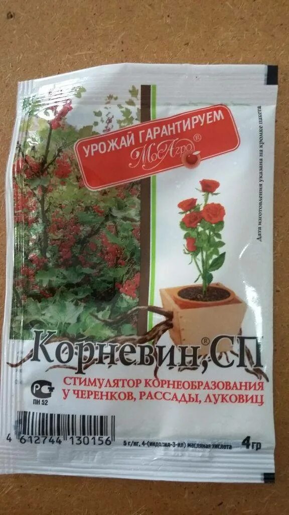 Как развести корневин для рассады томатов. Корневин 10 гр. Корневин СП 5г. Корневин стимулятор роста для рассады.