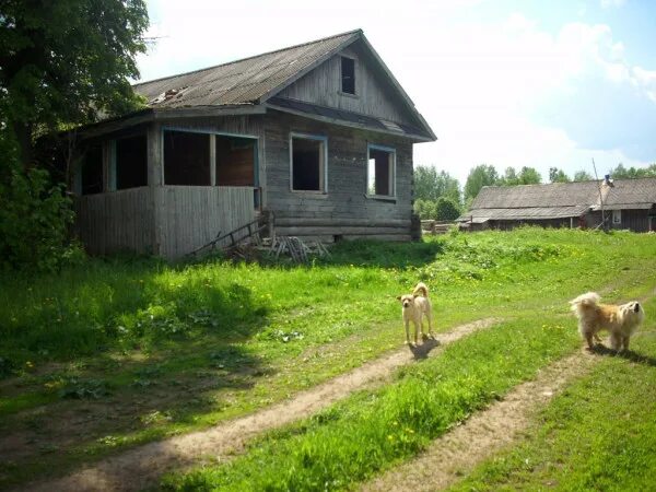 Купить в деревне калугу. Деревня Печуковка Калужская область. Заброшенные деревни Калужской области. Красивые деревни в Калужской области. Глухие деревни в Калужской области.