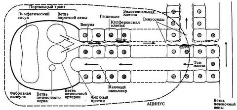 Тракт записи