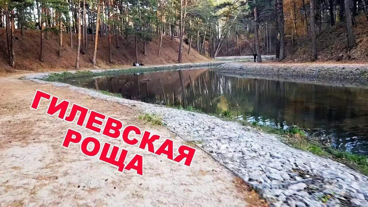 Гилевская роща тюмень зима. Гилевская роща летом тюмень. Гилевская роща тюмень. Парк гилевская роща тюмень. Гилевская роща песни.