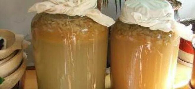 Вино из изюма в домашних условиях. Домашнее вино из изюма без дрожжей. Домашнее вино из изюма без дрожжей. Вино из османтуса. Домашнее вино из изюма без дрожжей.