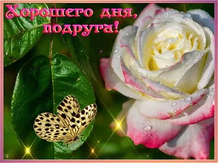 Красивые живые картинки с хорошим днем