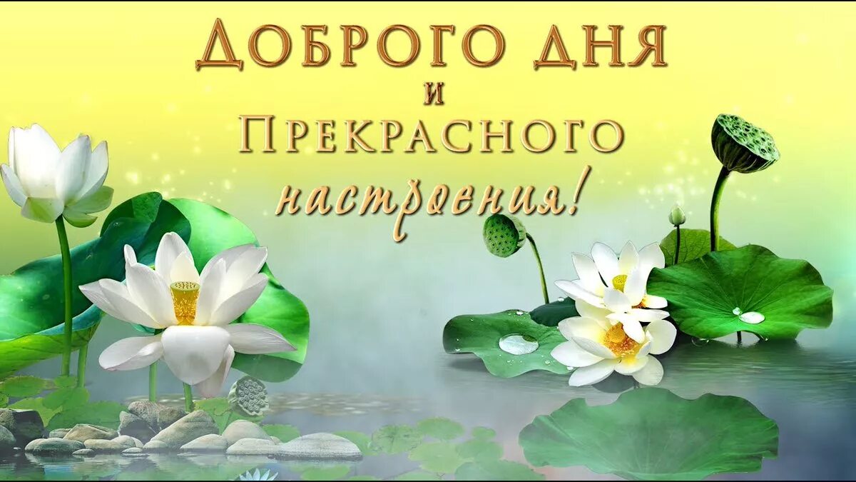 Добрый день картинки с надписями хорошего. Доброго дня и прекрасного настроения. Доброго дня и прекрасного. Добрый день прекрасного дня. Доброго дня и прекрасного настроения красивые.