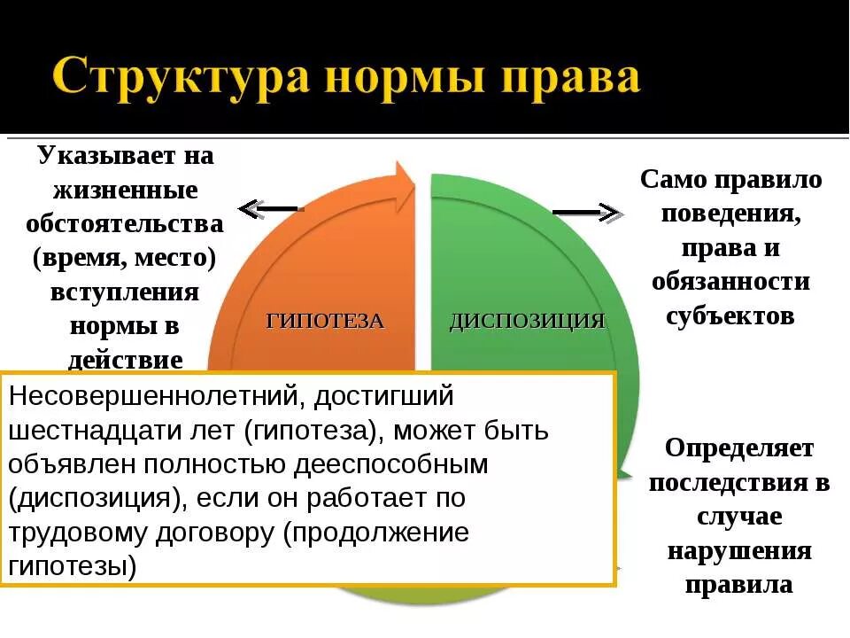 Норма состоит из диспозиции и санкции