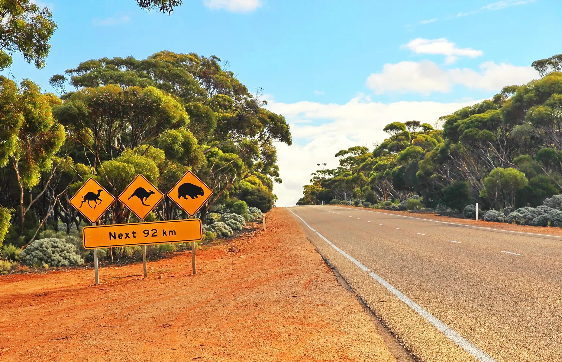 Дорога на юг. Australian roads. Australian roads. Шоссе эйр австралия. Australian roads.