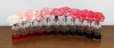 Гвоздику в воду