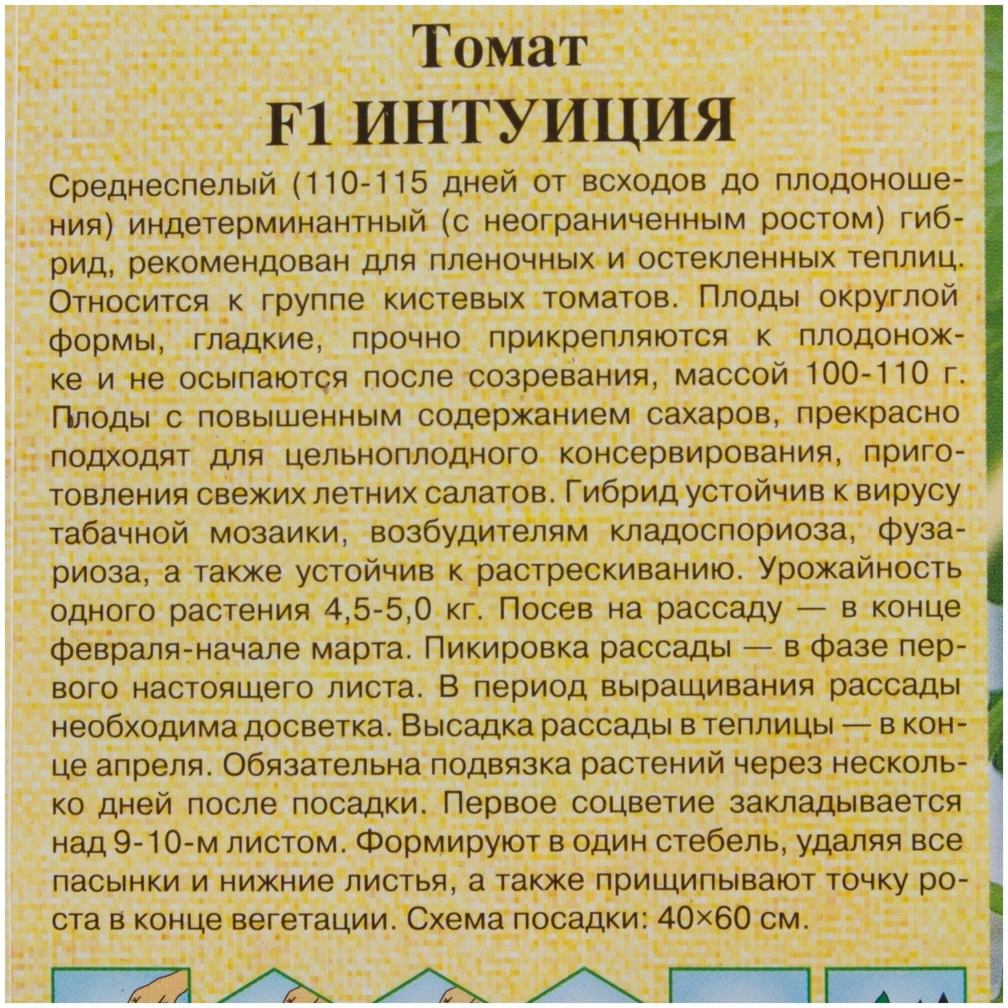 Семена томат интуиция f1. Томат интуиция f1 Гавриш 1+1. Томат интуиция Гавриш. Сорт томата интуиция.