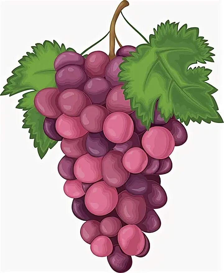 Simple vine. Simple vine