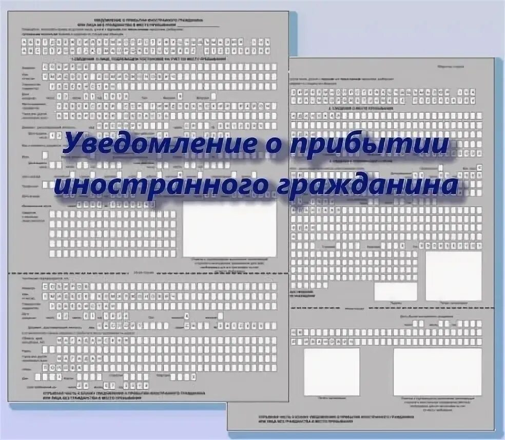 Как выглядит регистрация иностранного гражданина 2025 г ООО "ДОЙТЦ ВОСТОК" отзывы сотрудников о работе. ООО "ДОЙТЦ ВОСТОК" в городе Мо