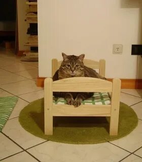 Кровать для кота