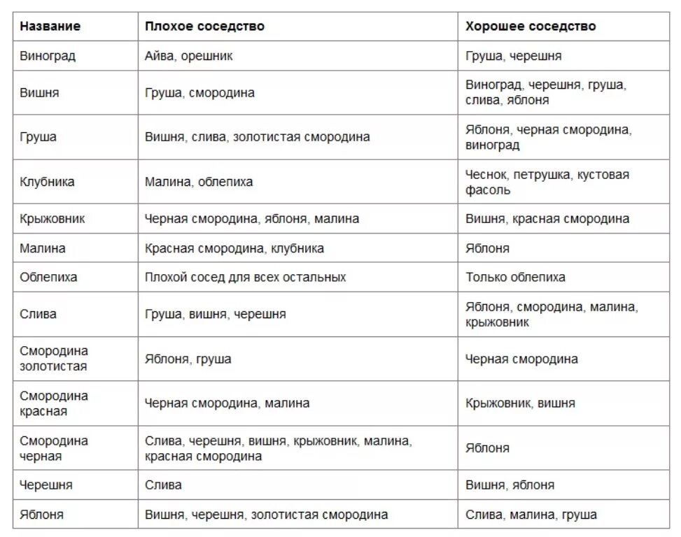 Совместимость деревьев. Совместимость плодовых деревьев и кустарников в саду. совместимость ягодных кустарников таблица. соседство плодовых деревьев и кустарников таблица. совместимость посадок плодовых деревьев и кустарников таблица.