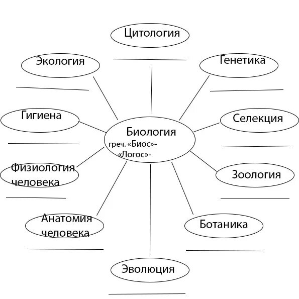 Схемы по биологии. Биологическая схема. Пример схемы по биологии. Биология в таблицах и схемах. Точка ру биология