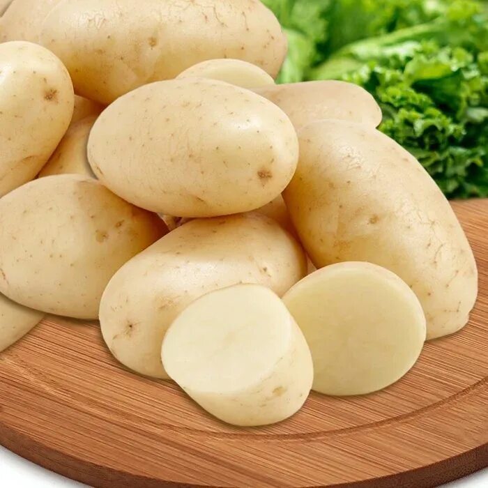 Картофель ласунок купить. Сорт картофеля Ласунок. Картофель семенной Артемис. Семенной картофель сорт Артемис. Сорт картофеля Ласунок семенной.