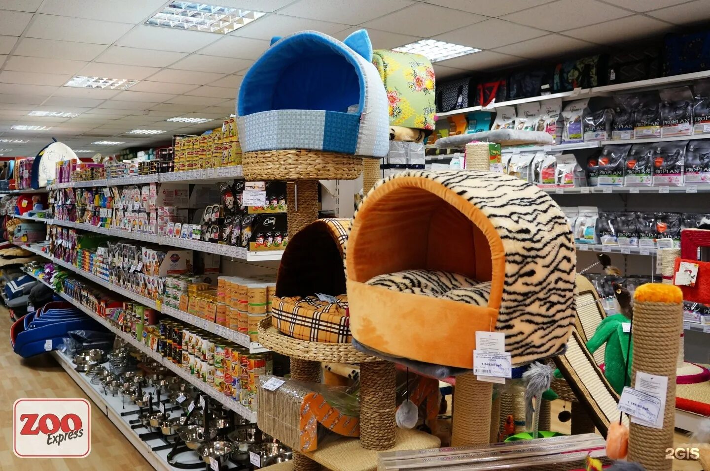 Лежанка зооэксперт зооэкспресс лежанка 75201. Зооэкспресс санкт петербург товары для животных. Лежанка зооэксперт зооэкспресс лежанка 710023. Зоомагазин на уточкина. Зооэкспресс 700032 лежанка птицы № 3,горчично-желтый.