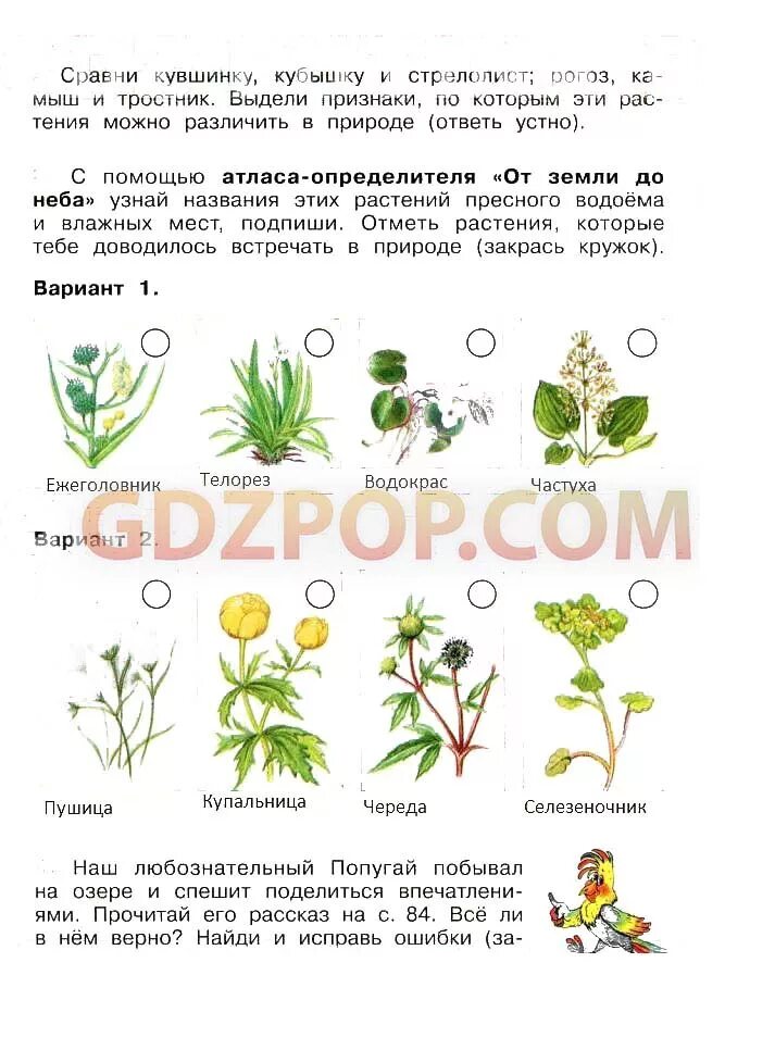 Окружающий мир 4 класс стр 75 81. Атлас от земли до неба растения пресного водоема. Атлас определитель растения водоема. Атлас-определитель 3 класс окружающий мир. Атлас от земли до неба 4 класс растения пресного водоема.