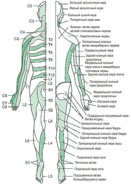 Поясница чуть ниже