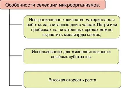 Установите последовательность этапов селекции