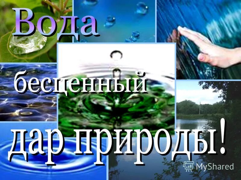 бесценная вода