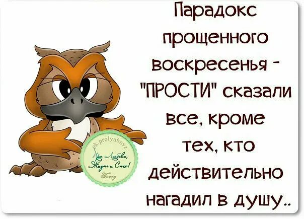 Прощенное воскресенье прикольные. С прощенным воскресеньем смешные. Прощенное воскресенье прикол. Прощение воскресенье прикольные.