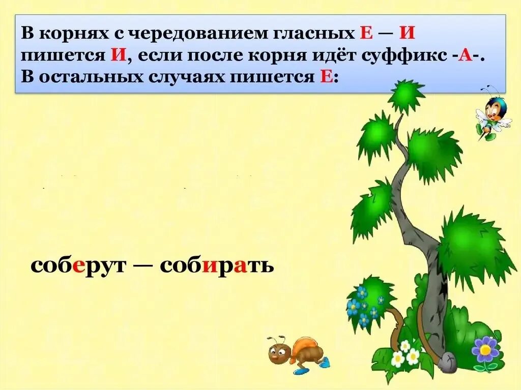 Чередование гласных е и в корне правило. 5 Слов с корнями с чередованием о е ё. Е И В корнях с чередованием 6 класс правило.