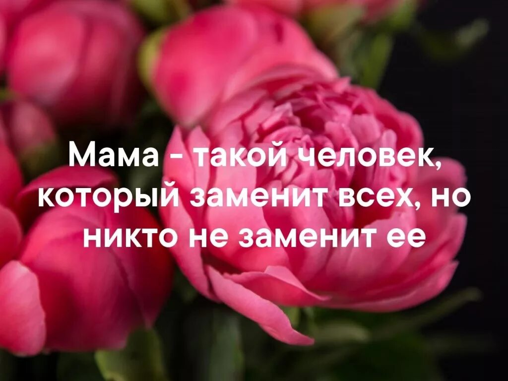 Маму никто не заменит. Мама это тот человек который заменит всех. Мама такой человек который заменит всех но никто не заменит ее. Никто не заменит маму. Маму никто и никогда не заменит.