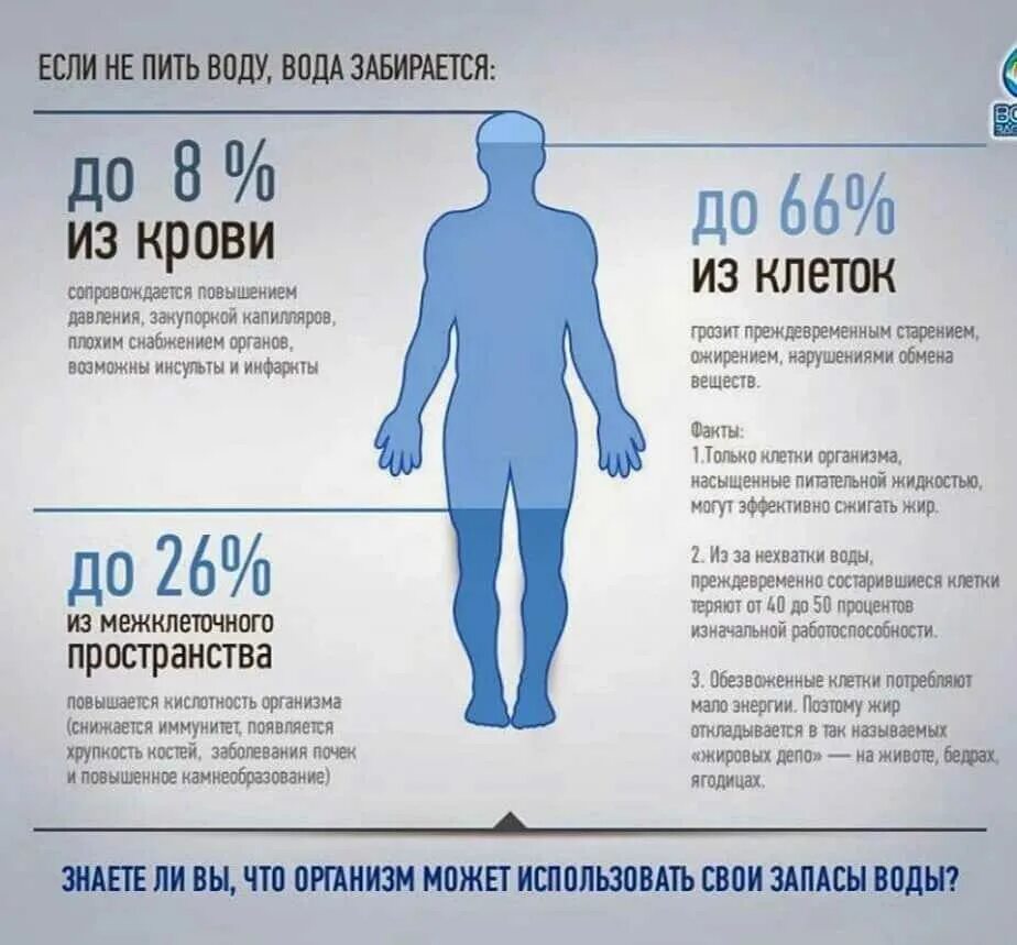 В день можно пить. В день можно пить