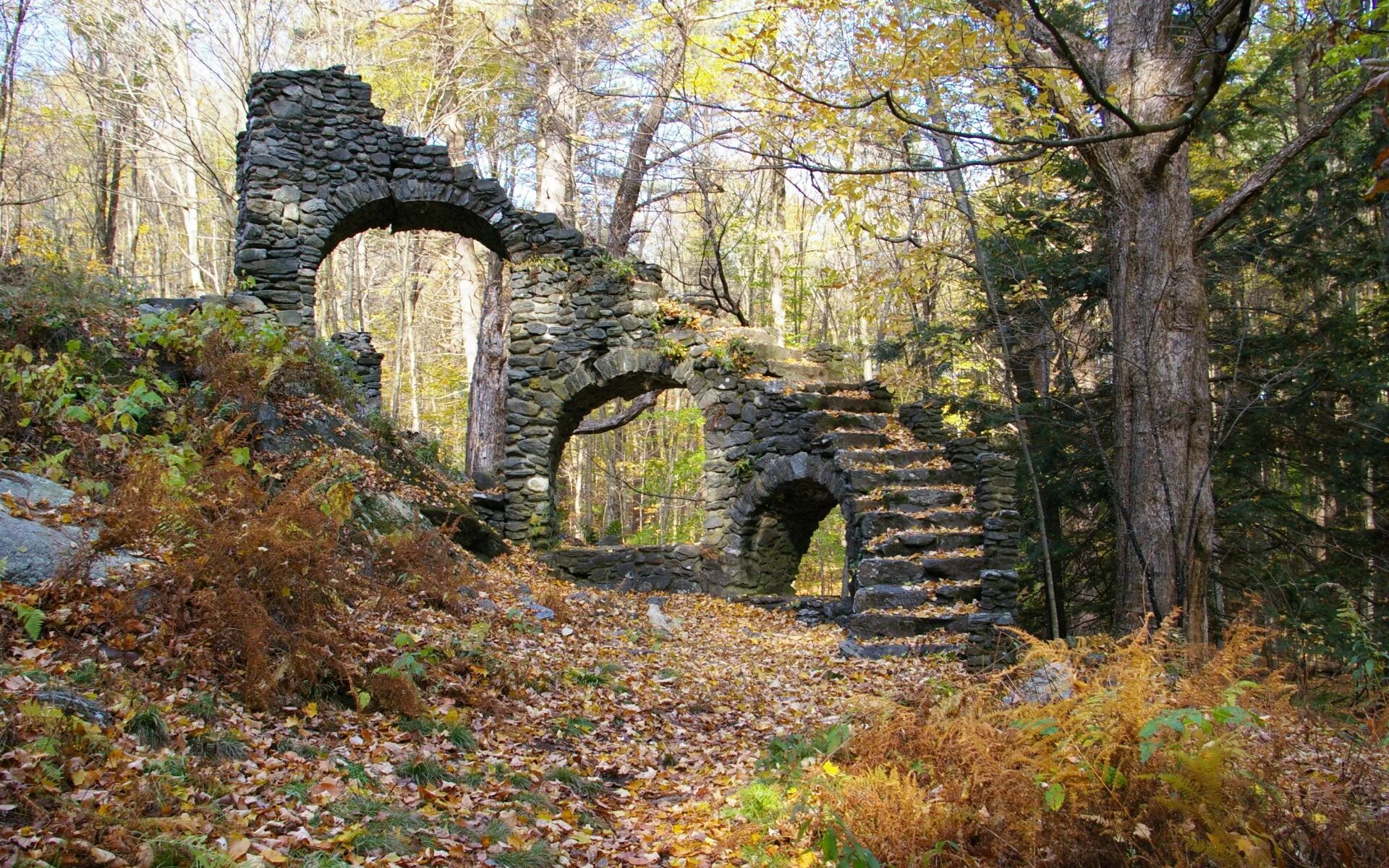 Парк заросли спб. Осенний пейзаж дубки таганрог. Старый парк заросший непролазным. Заброшеные места в лесу. Белградский лес развалины.