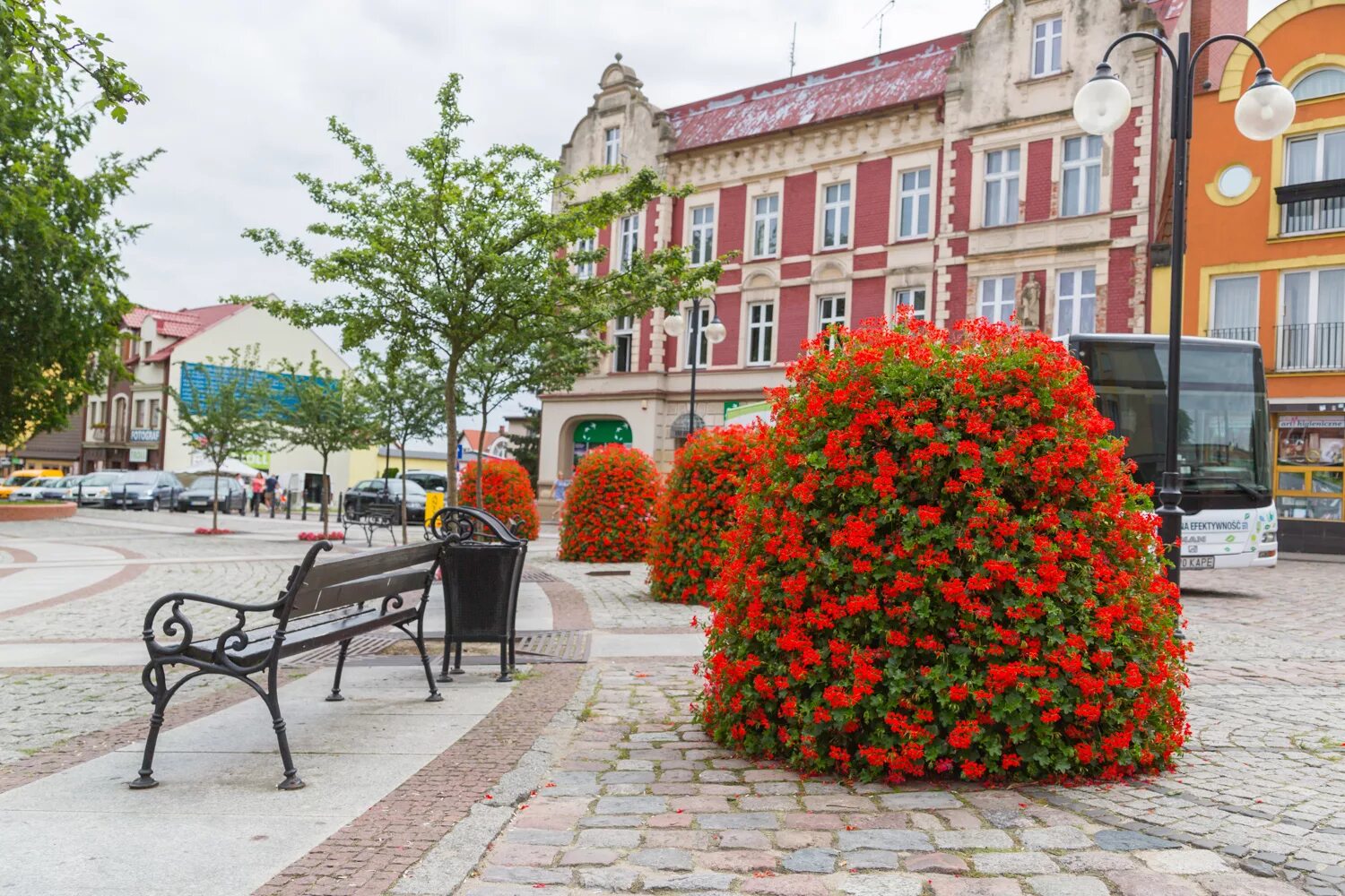 Street of flowers. Вертикальное Озеленение Германия Лейпциг. Озеленение города. Вертикальное Озеленение в городе. Клумбы в Европе.