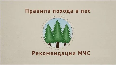Скорей в лес
